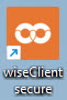 icoon wiseClient secure.jpg